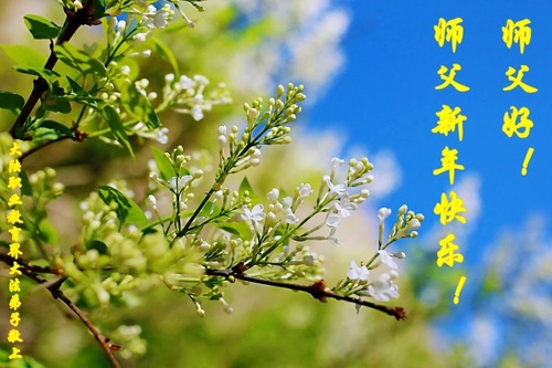 Image for article تمرین‌کنندگان فالون دافا در نظام آموزشی چین با کمال احترام سال نو را به استاد لی هنگجی تبریک می‌گویند