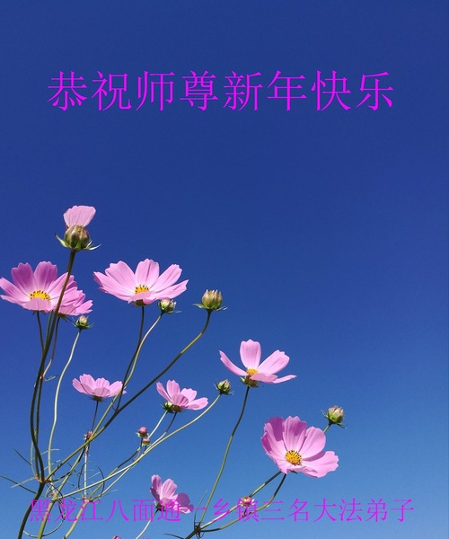 Image for article تمرین‌کنندگان فالون دافا در مناطق روستایی در چین سال نو را به استاد لی هنگجی تبریک می‌گویند (23 تبریک)