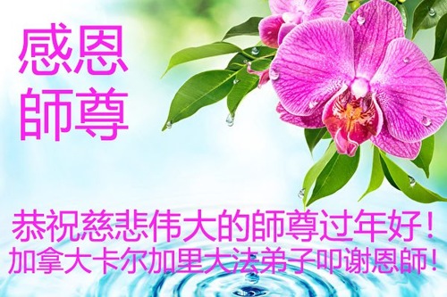 Image for article تمرین‌کنندگان فالون دافا از کانادا با کمال احترام سال نوی چینی را به استاد لی هنگجی تبریک می‌گویند (14 تبریک)