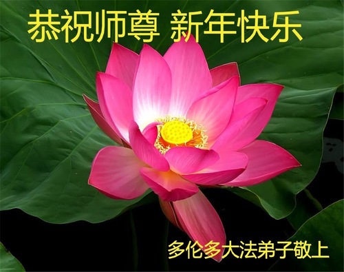 Image for article تمرین‌کنندگان فالون دافا از کانادا با کمال احترام سال نوی چینی را به استاد لی هنگجی تبریک می‌گویند (22 تبریک)