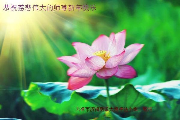 Image for article تمرین‌کنندگان 30 استان در چین سال نو را به استاد لی تبریک می‌گویند!