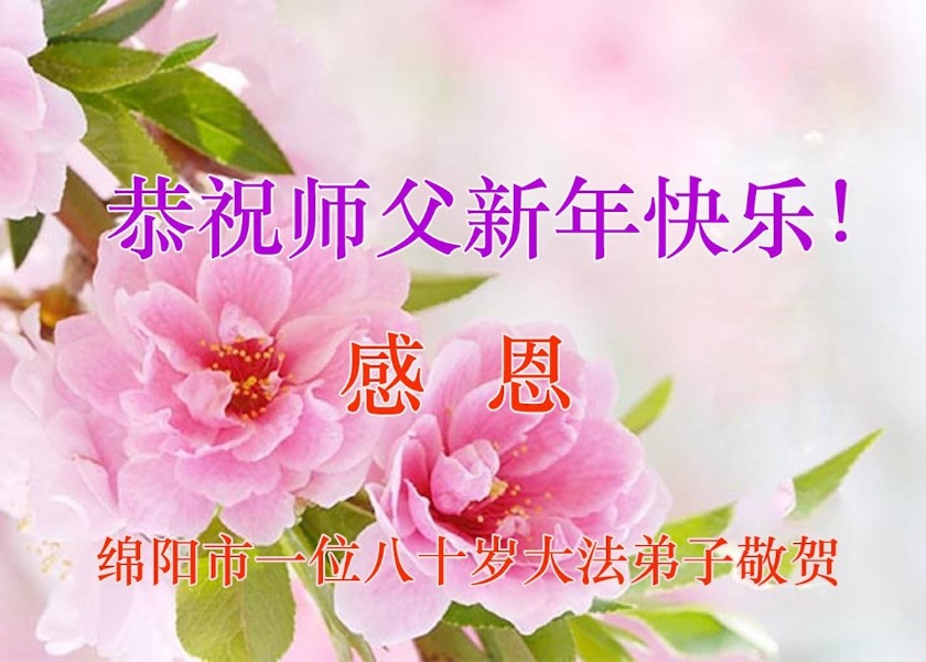 Image for article کاشتن بذر امید: تمرین‌کنندگان فالون دافا در چین سال نو چینی را به استاد لی تبریک می‌گویند