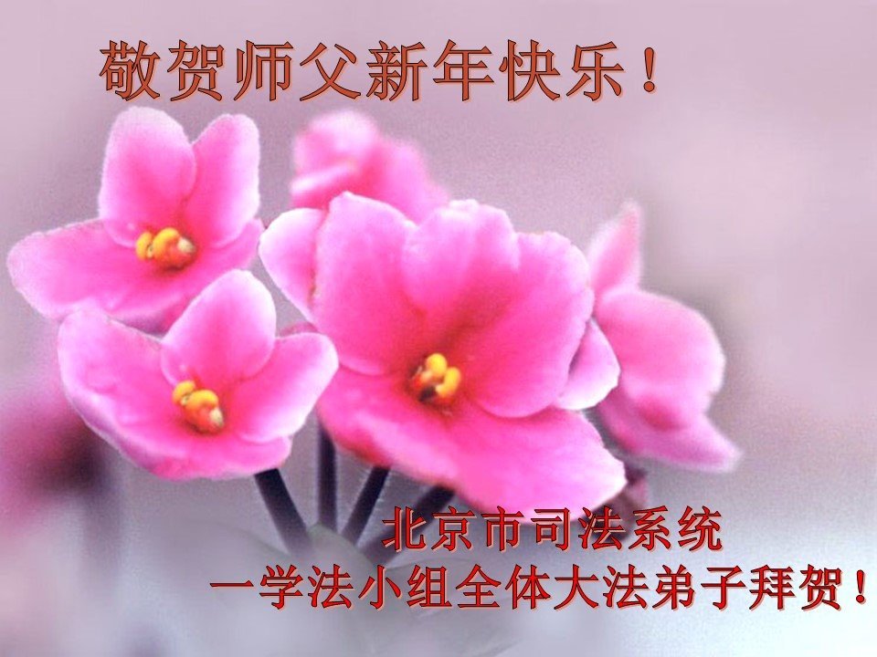 Image for article تمرین‌کنندگان و حامیان فالون دافا که در سیستم قضایی چین کار می‌کنند سال نو را به استاد محترم لی هنگجی تبریک می‌گویند