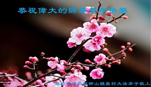 Image for article تمرین‌کنندگان فالون دافا در مناطق روستایی سال نوی چینی را به استاد لی تبریک می‌گویند (18 تبریک)
