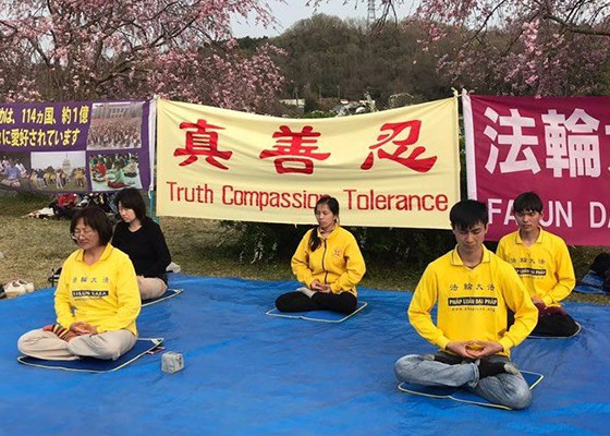 Image for article ژاپن: معرفی فالون گونگ در جشنواره شکوفه گیلاس