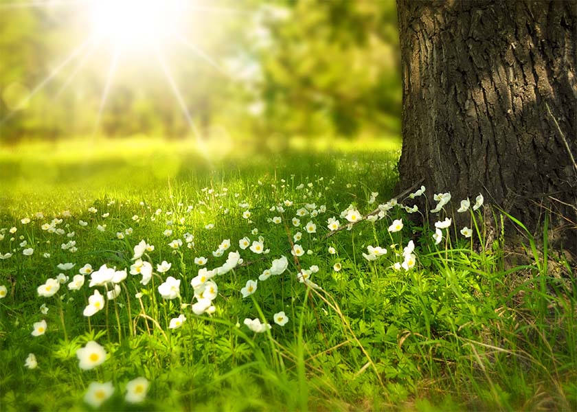 Image for article فروشنده‌ای یاد می‌گیرد که نخست سایرین را در نظر بگیرد