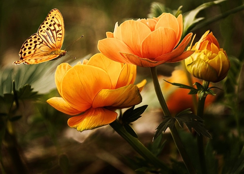 Image for article تغییرات مثبت من پس از آغاز تمرین فالون دافا
