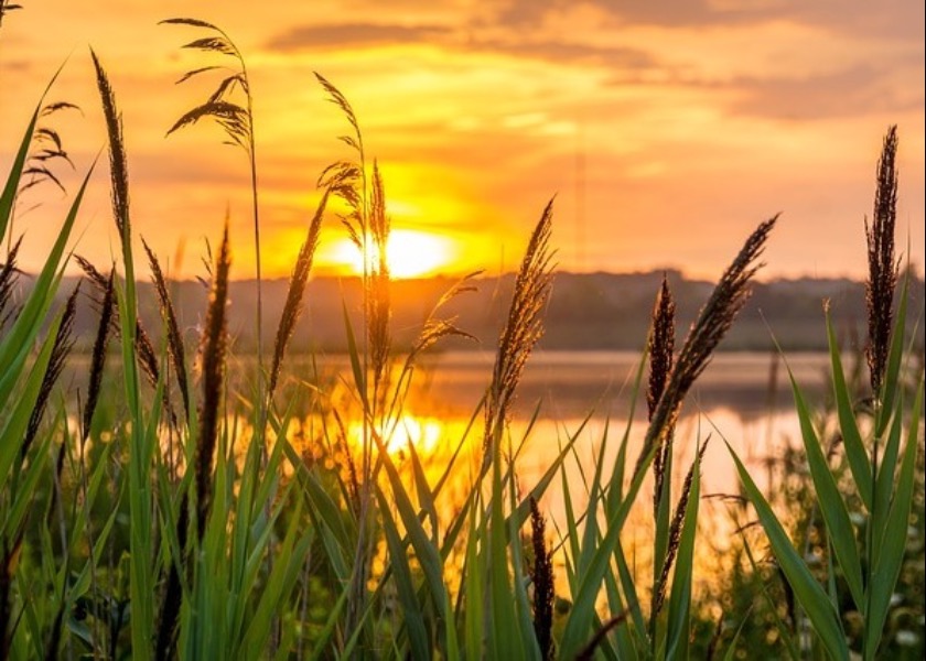 Image for article «این نُه کلمه مؤثر هستند»