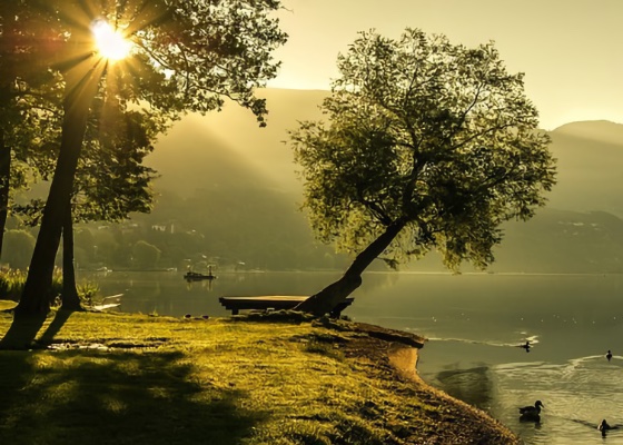 Image for article شعف پس از نجات یافتن