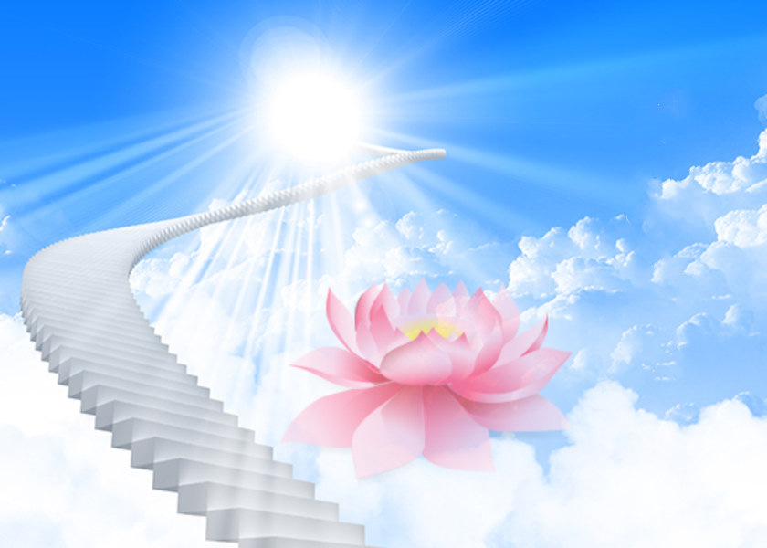 Image for article تجربیات تزکیه تمرین‌کننده‌ای جوان