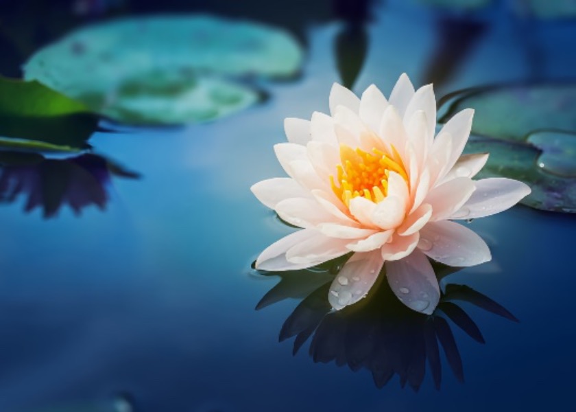 Image for article چگونه با نگاه‌کردن به درون، روابطم را تقویت کردم