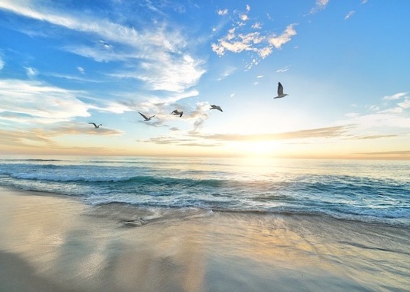 Image for article نور خدایی خانه و خانواده‌ام را روشن کرده است