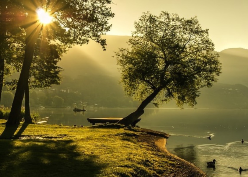 Image for article چگونه پدرشوهر سرسختم سرانجام از ح.ک.چ خارج شد