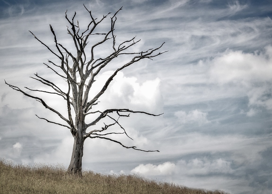 Image for article درگذشت بانویی ۴۵ساله سه روز پس از انتقال به زندان، برای اجرای حکم پنج‌ساله‌اش به‌دلیل تمرین فالون‌گونگ