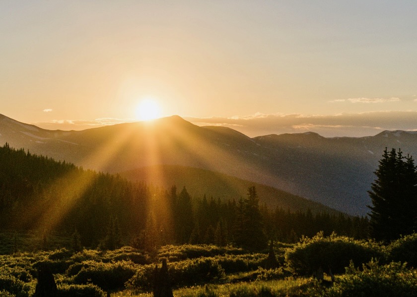 Image for article وقتی هیچ‌چیز کارساز نیست، باید به وجدان خود تکیه کنیم