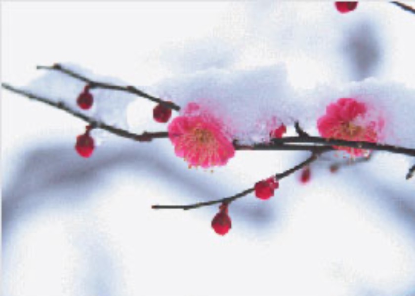 Image for article رهاکردن کینه و مهربانی با برادرم