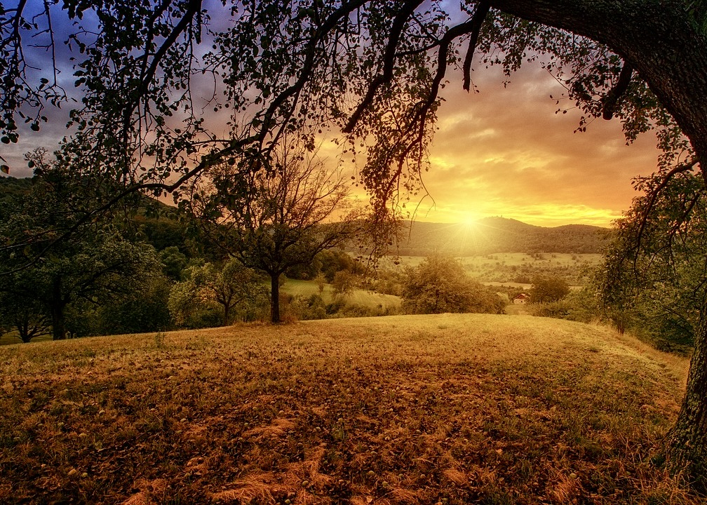 Image for article مأمور پلیس: «فالون دافا دو معجزه برای زندگی‌ات به ارمغان آورده است!»