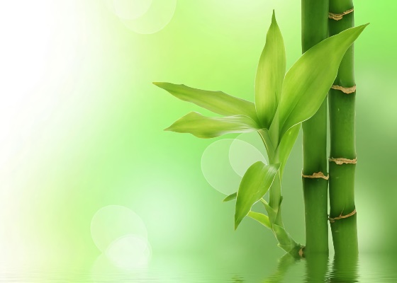 Image for article دافا به من فرصتی دوباره برای زندگی بخشید