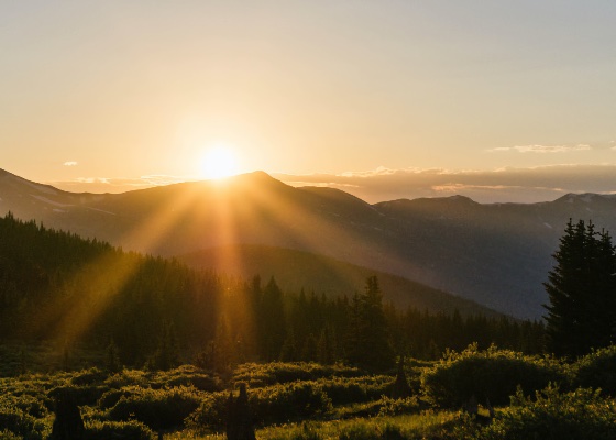 Image for article مسئول بودن در قبال خودمان و دیگران: دیدگاه‌هایم درباره کارمای بیماری
