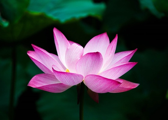 Image for article بعد از اینکه پدرم فریب خورد، وابستگی‌هایم را کشف کردم